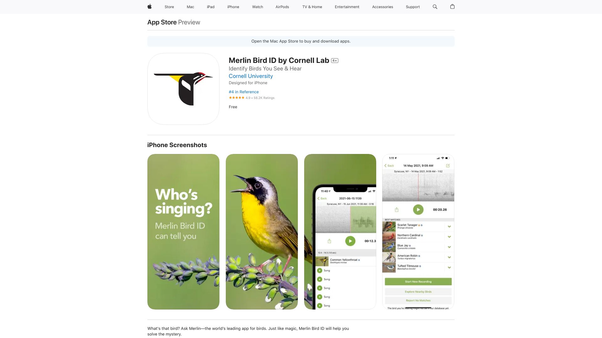Merlin Bird ID: Определите птиц в мгновение ока